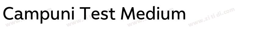 Campuni Test Medium字体转换